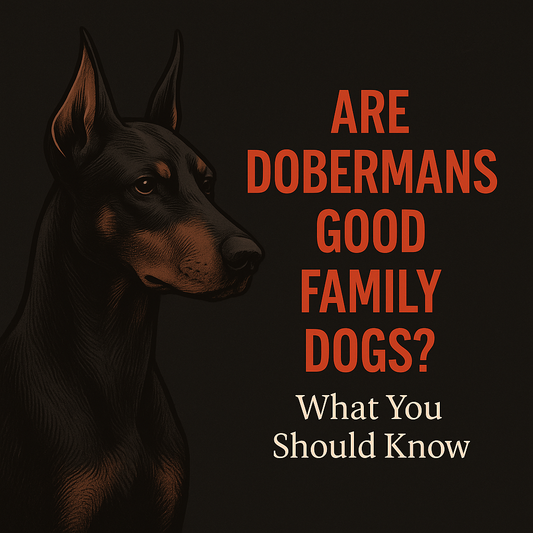 Are Dobermans Good Family Dogs? What You Should Know