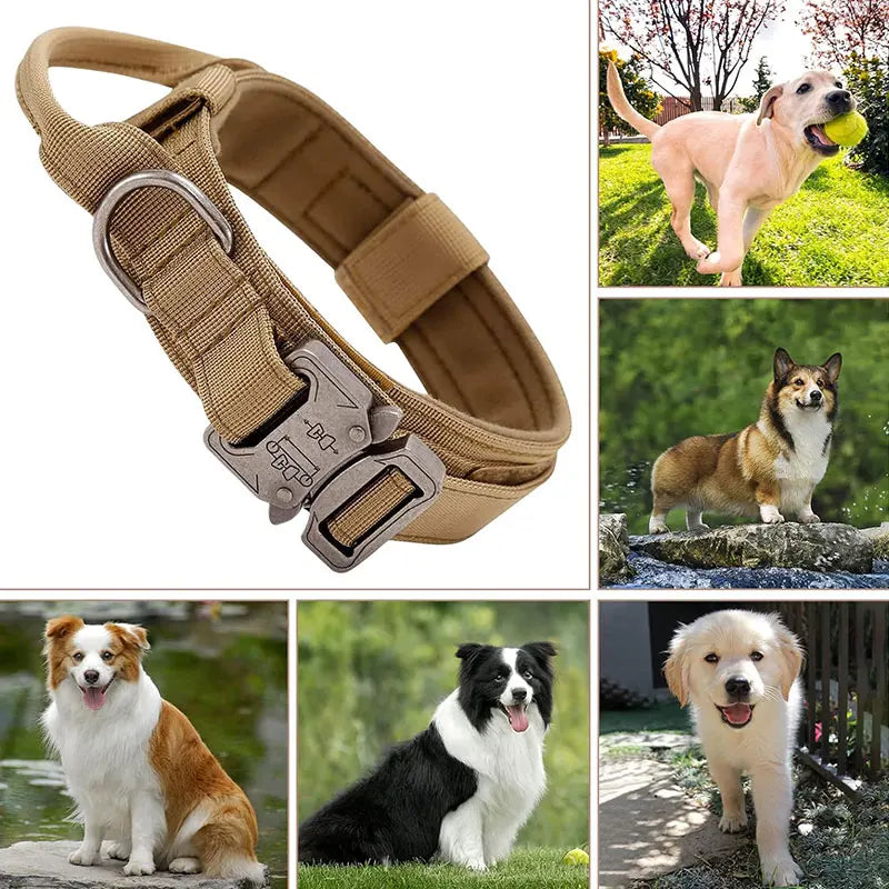Tactical Dog Training Collar for Dobermans – Heavy-Duty Outdoor Control