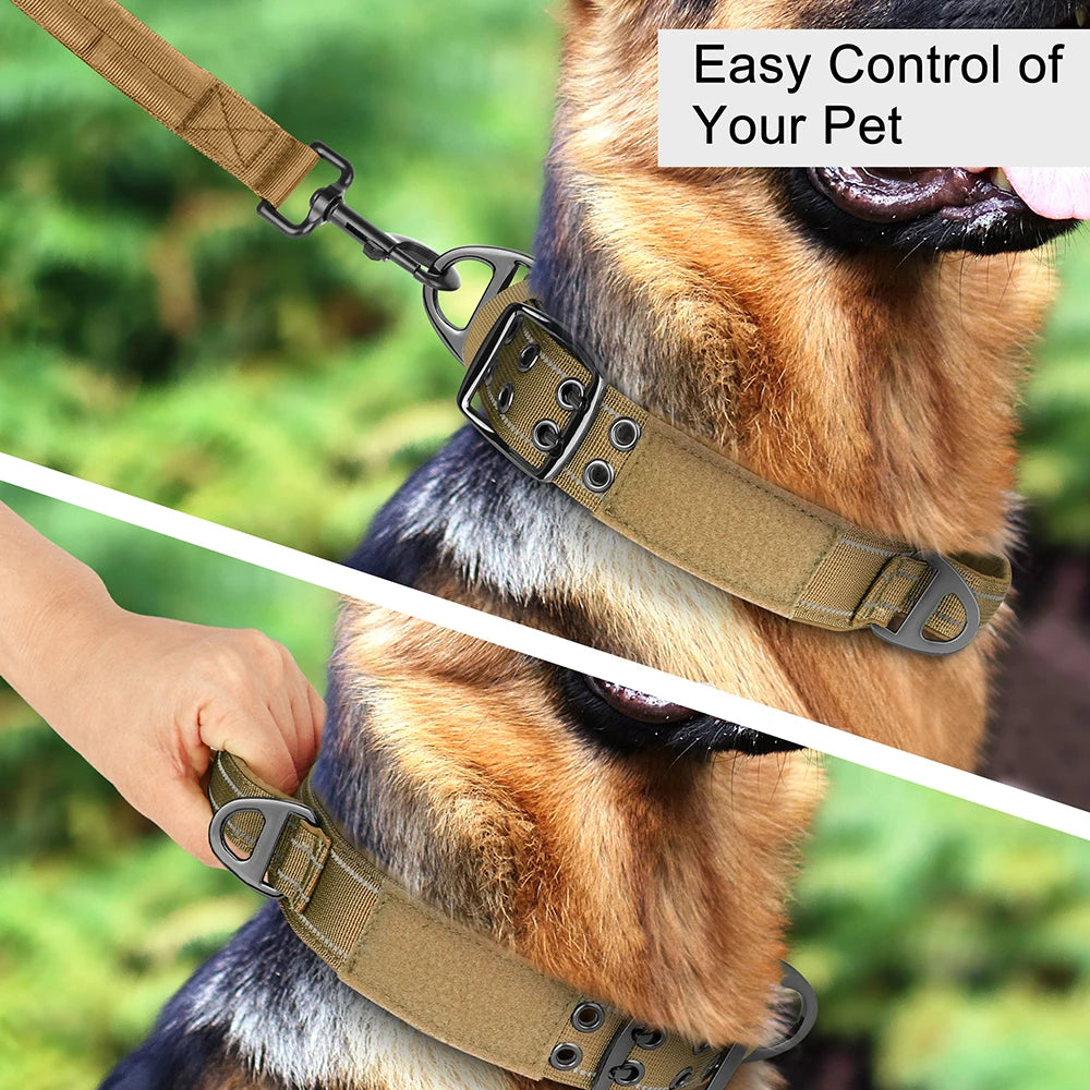 Tactical Nylon Training Collar for Dobermans – Built for Strength, Comfort, and Control