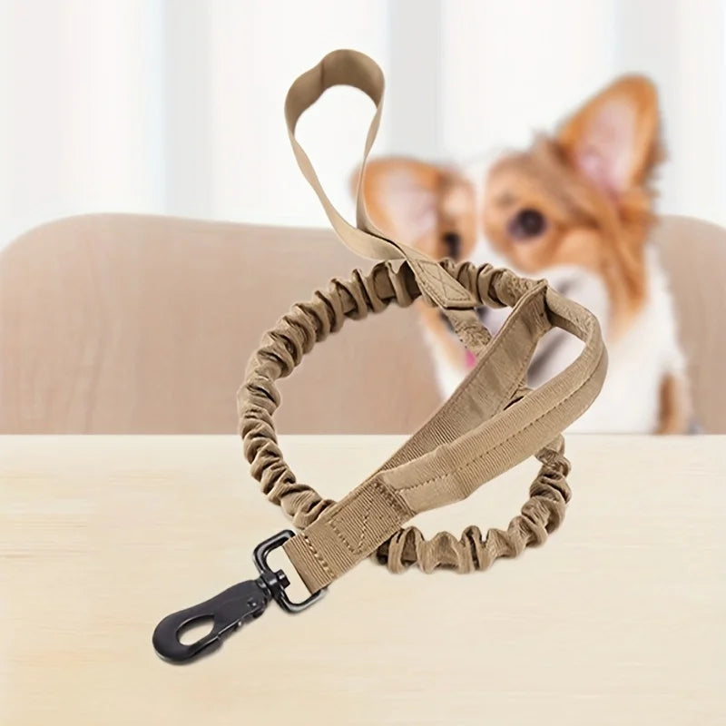 Tactical Bungee Leash for Dobermans – Built for Strength, Control, and Comfort