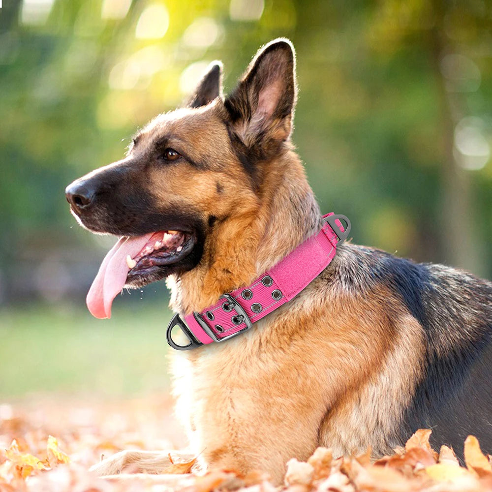 Tactical Nylon Training Collar for Dobermans – Built for Strength, Comfort, and Control