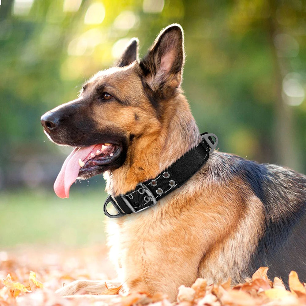 Tactical Nylon Training Collar for Dobermans – Built for Strength, Comfort, and Control