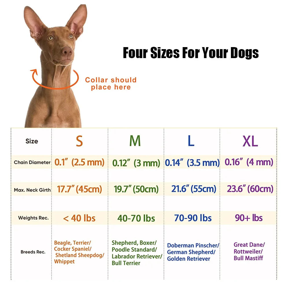 Stainless Steel Prong Training Collar for Dobermans – Rubber-Tipped for Safe, Firm Correction
