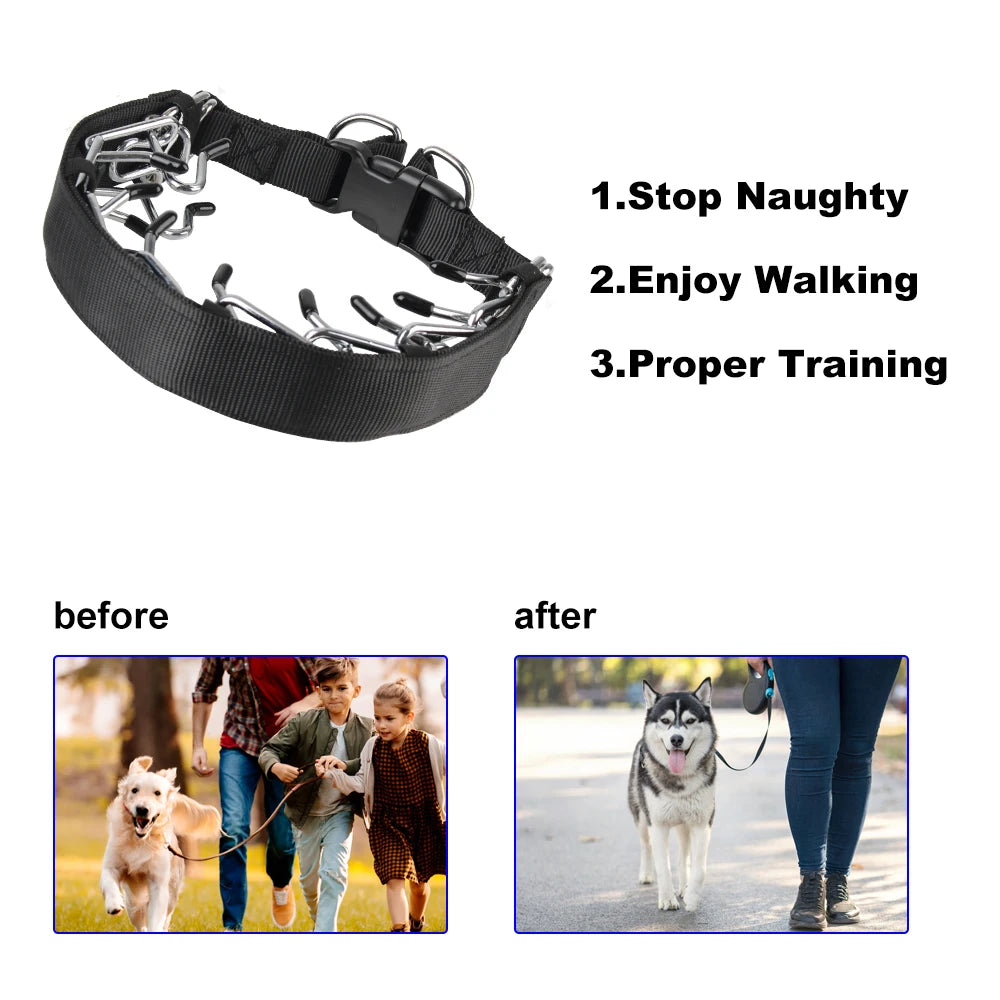 Adjustable Prong Training Collar for Dobermans – Quick-Release, Safe, and Effective