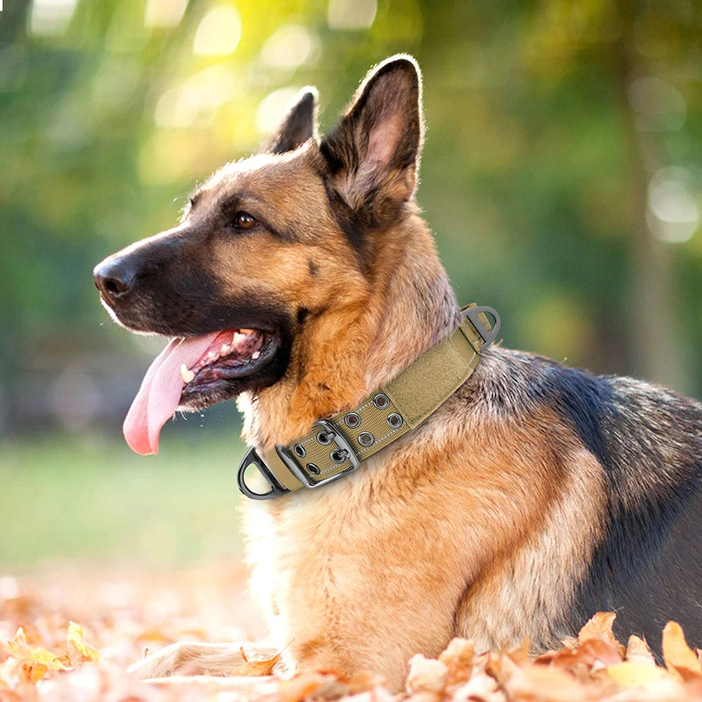 Tactical Nylon Training Collar for Dobermans – Built for Strength, Comfort, and Control