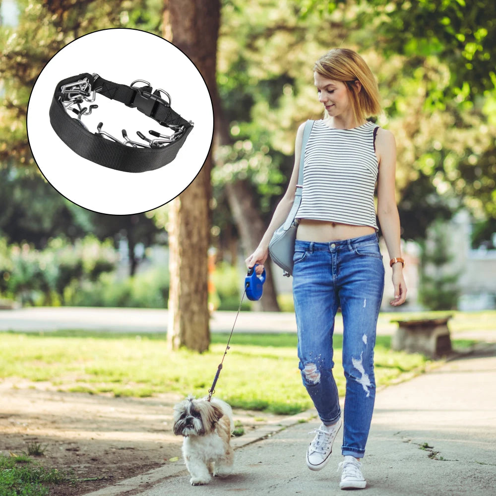 Adjustable Prong Training Collar for Dobermans – Quick-Release, Safe, and Effective