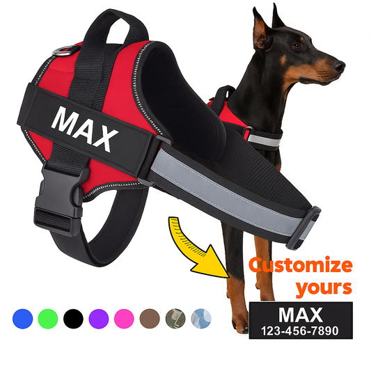 Custom Reflective No-Pull Harness for Dobermans – Personalized, Breathable Vest for Training & Everyday Walks