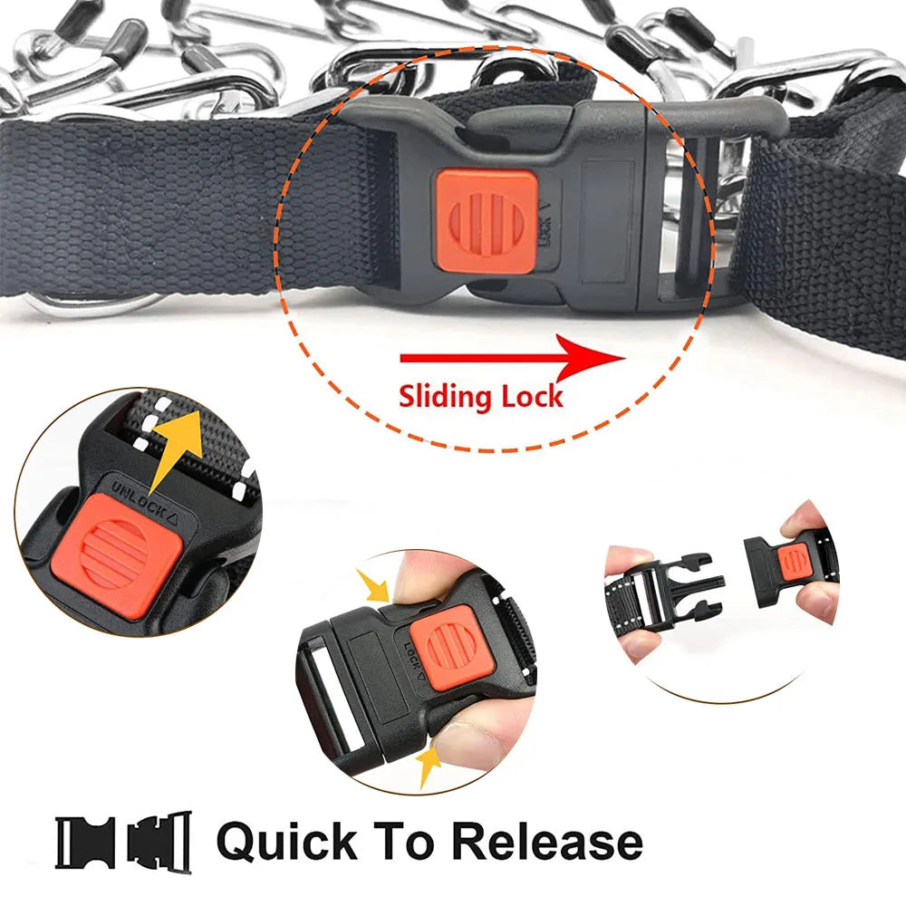 Stainless Steel Prong Training Collar for Dobermans – Rubber-Tipped for Safe, Firm Correction