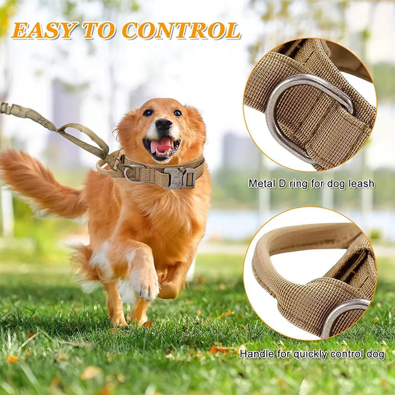 Tactical Dog Training Collar for Dobermans – Heavy-Duty Outdoor Control