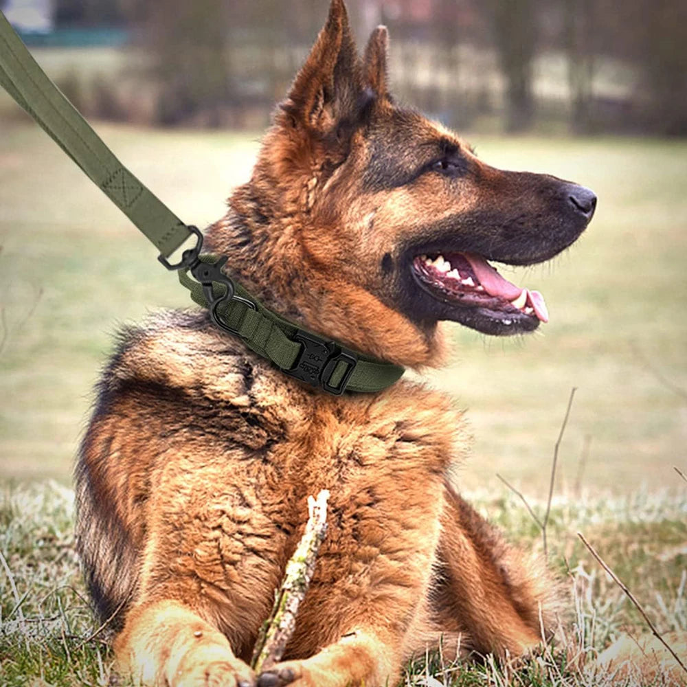Doberman Tactical Collar & Leash Set – Built for Strength and Control