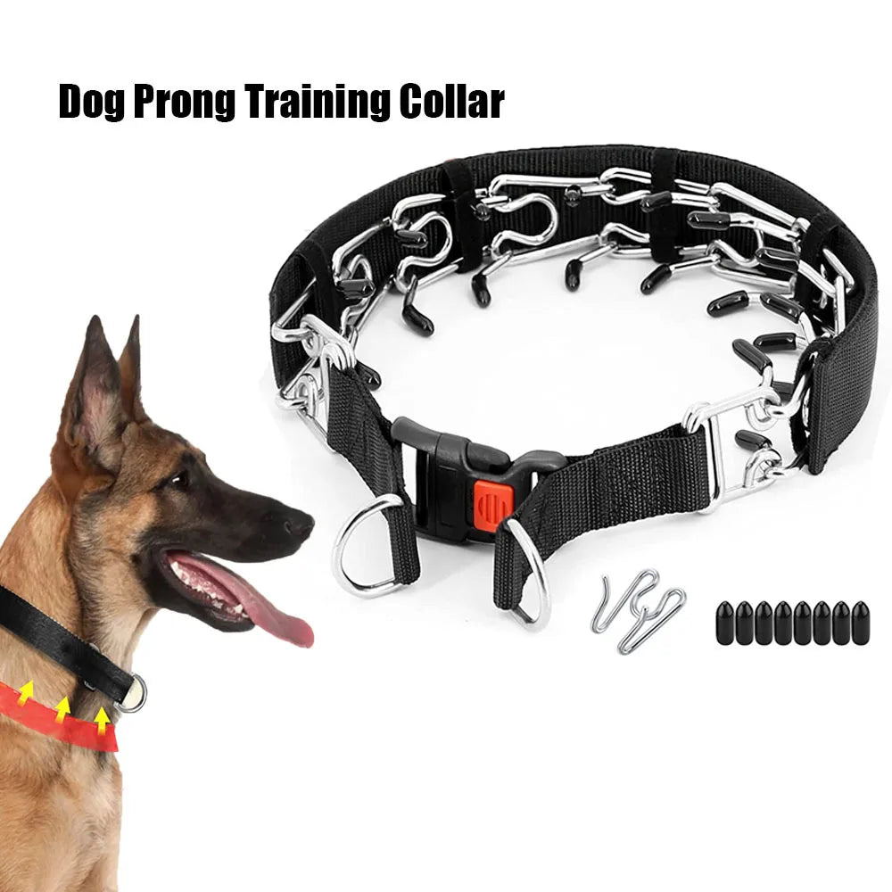 Stainless Steel Prong Training Collar for Dobermans – Rubber-Tipped for Safe, Firm Correction
