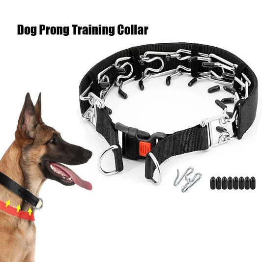 Stainless Steel Prong Training Collar for Dobermans – Rubber-Tipped for Safe, Firm Correction