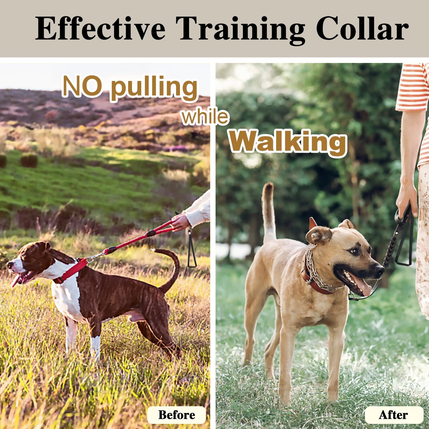Adjustable Prong Training Collar for Dobermans – No-Pull Control with Quick-Release Buckle