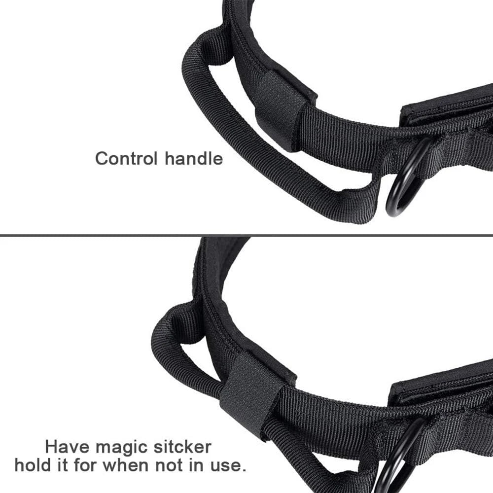 Doberman Tactical Collar & Leash Set – Built for Strength and Control