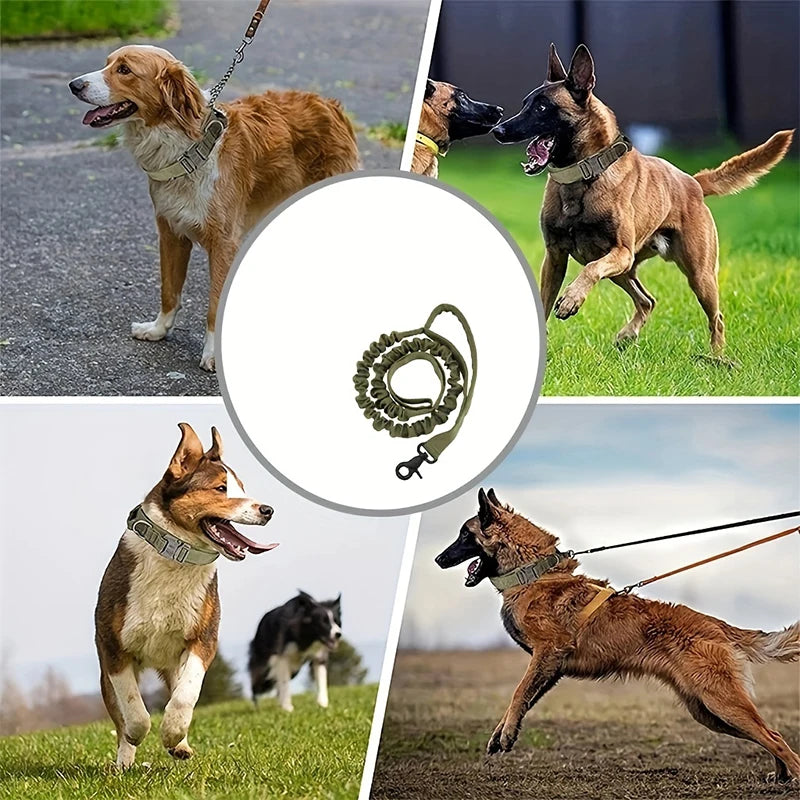 Tactical Bungee Leash for Dobermans – Built for Strength, Control, and Comfort