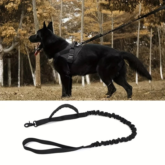 Tactical Bungee Leash for Dobermans – Built for Strength, Control, and Comfort