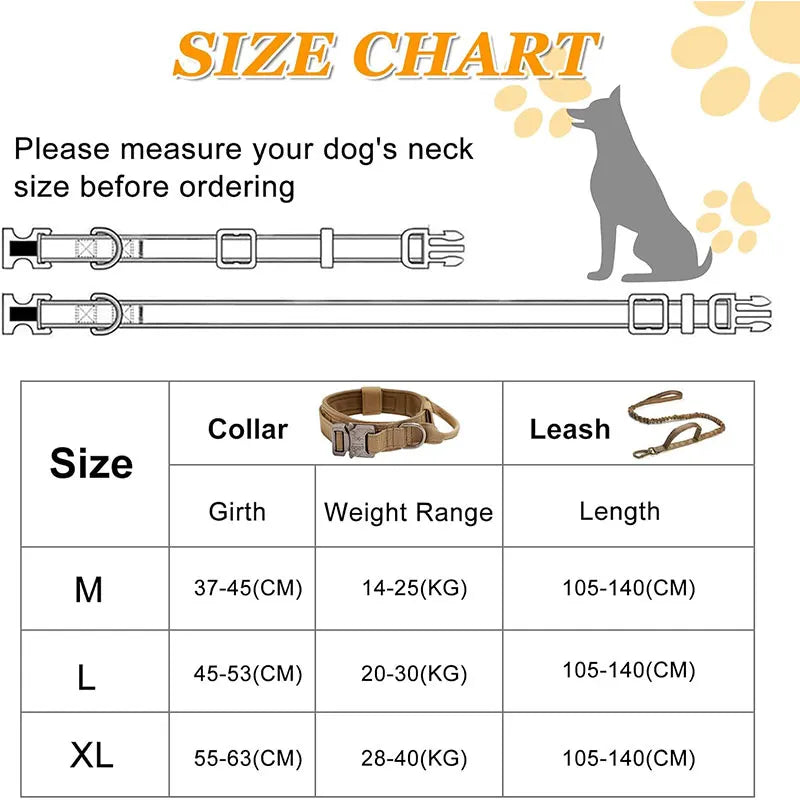 Tactical Dog Training Collar for Dobermans – Heavy-Duty Outdoor Control