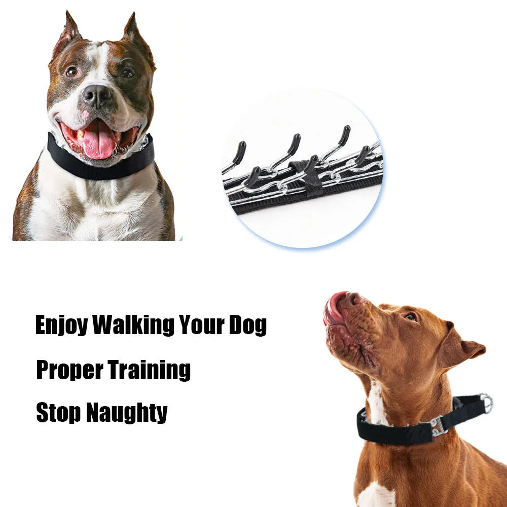 Stainless Steel Prong Training Collar for Dobermans – Rubber-Tipped for Safe, Firm Correction