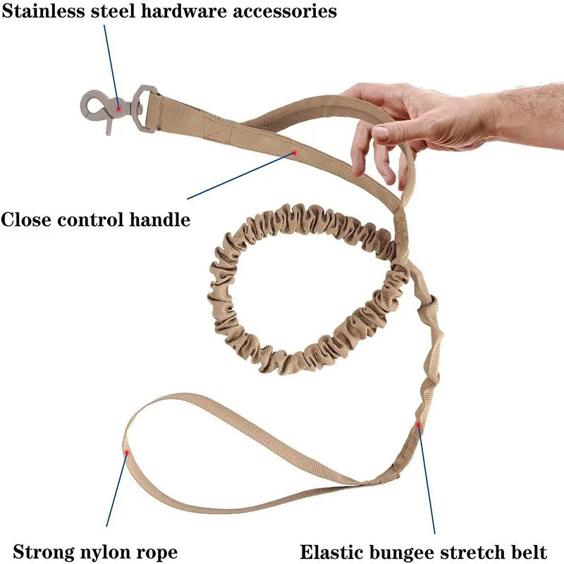 Tactical Bungee Leash for Dobermans – Built for Strength, Control, and Comfort