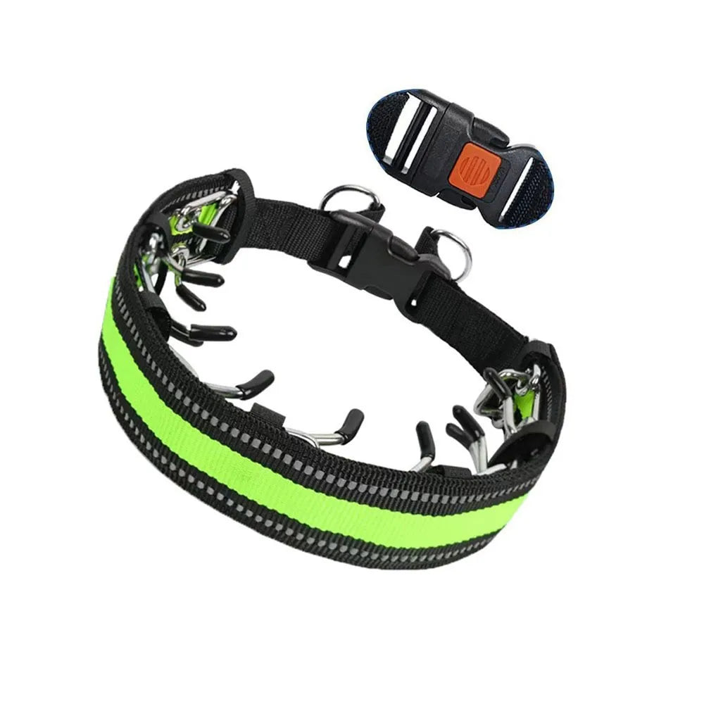 Stainless Steel Prong Training Collar for Dobermans – Rubber-Tipped for Safe, Firm Correction