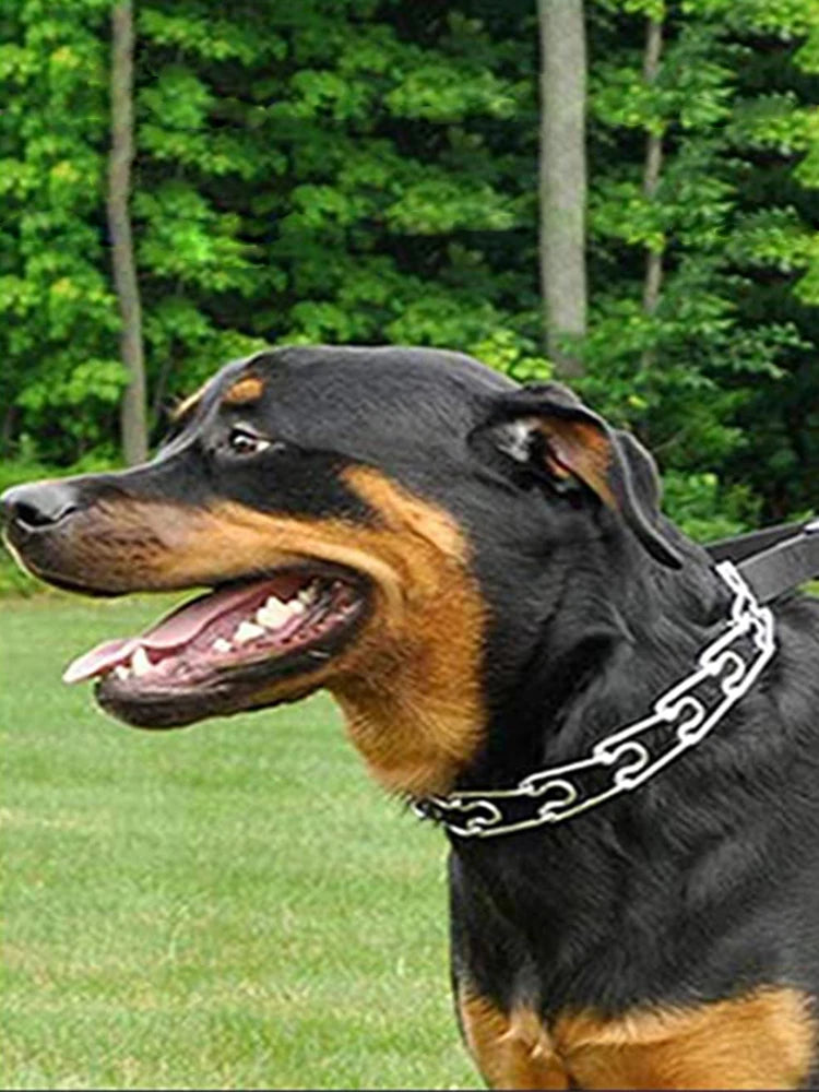 Adjustable Prong Training Collar for Dobermans – No-Pull Control with Quick-Release Buckle
